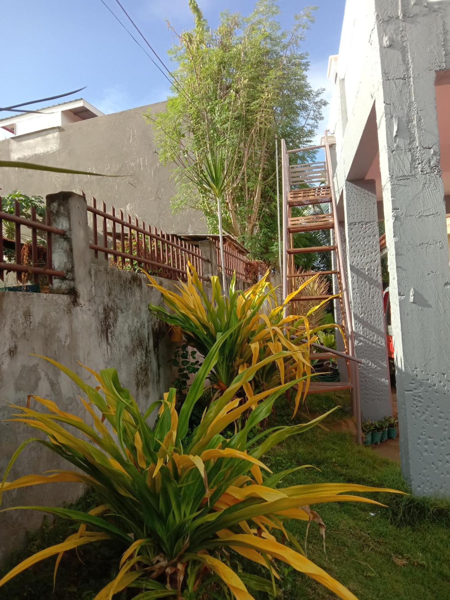 Friz Love Room Rental San Juan  Esterno foto